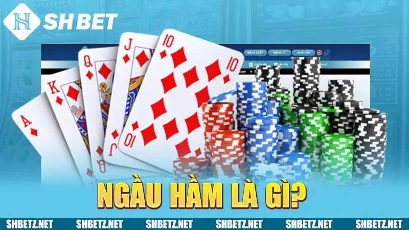 Ngầu Hầm là gì?