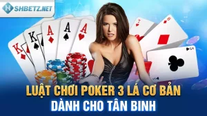 Luật Chơi Poker 3 Lá Cơ Bản Dành Cho Tân Binh