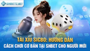 Tài Xỉu Sicbo: Tìm Hiểu Luật Chơi, Cách Chơi Tại SHBET